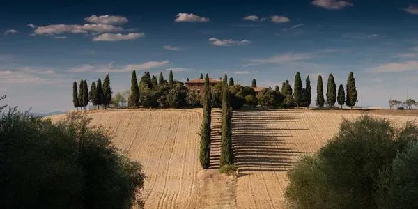 Lorem lipsum image